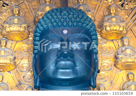 Todaiji Faces of the Buddha of Nara 133103659