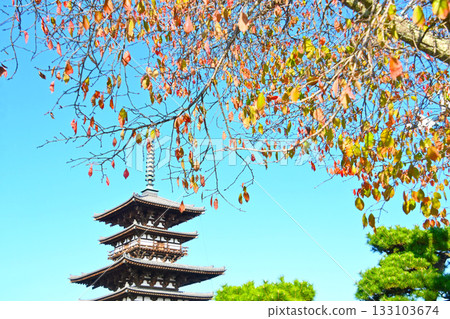 秋季藥師寺東塔 秋季藥師寺東塔 133103674