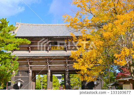 東大寺南門,秋葉點綴其間 東大寺南門,秋葉點綴其間 133103677