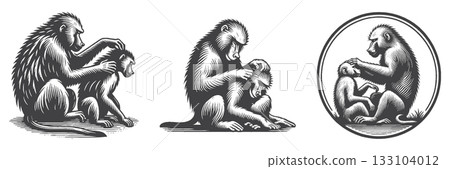 Vintage Hand-Drawn Baboon Grooming 133104012