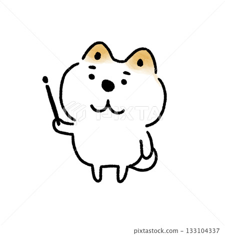 White Shiba Inu holding a pointing stick 133104337