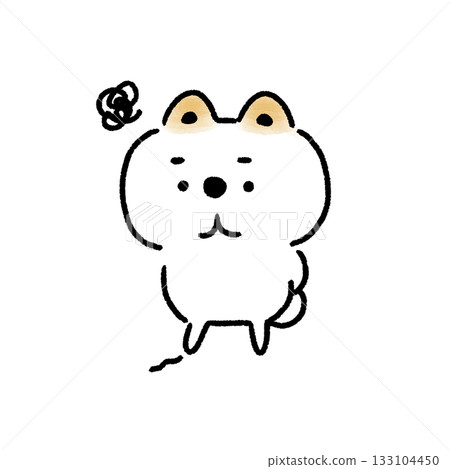 一隻白色的柴犬低頭看著地面,一臉不滿。 一隻白色的柴犬低頭看著地面,一臉不滿。 133104450