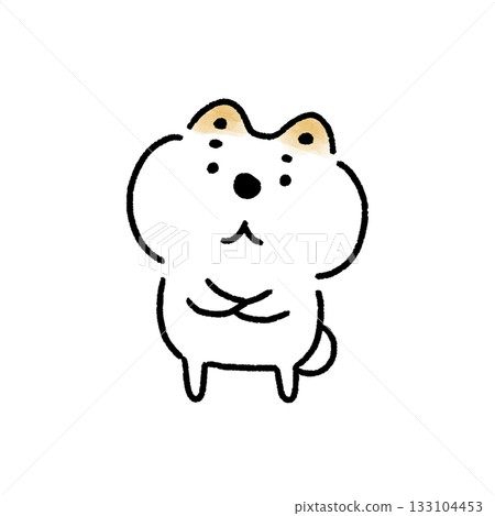 一隻白色的柴犬抬頭望著,若有所思 一隻白色的柴犬抬頭望著,若有所思 133104453