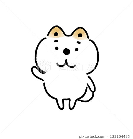 A white Shiba Inu greeting with one hand raised 133104455