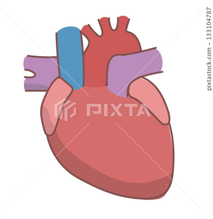 Simple heart illustration Simple heart illustration 133104787
