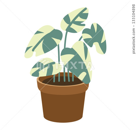 Illustration of Monstera Plant in Pot 133104898