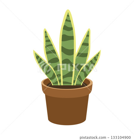Illustration of a Snake Plant in Pot 133104900