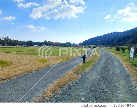 A straight road 133104949