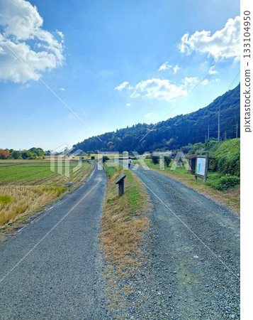 Two straight roads 133104950