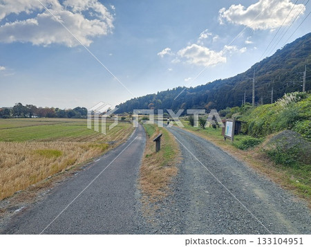 Branching road 133104951