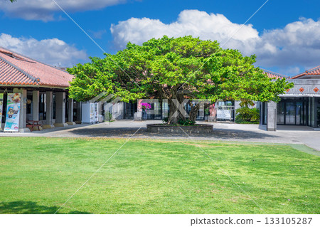 首里城堡 133105287