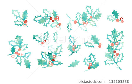 水彩畫。向量水彩聖誕插畫。冬青水彩插畫。 水彩畫。向量水彩聖誕插畫。冬青水彩插畫。 133105288
