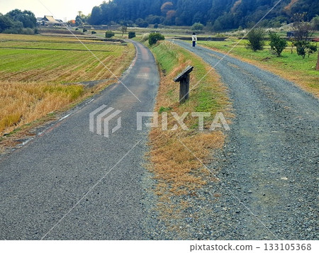 A parting road 133105368