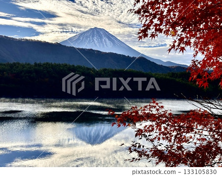 Autumn leaves on the shores of Lake Saiko and Mt. Fuji Autumn leaves on the shores of Lake Saiko and Mt. Fuji 133105830