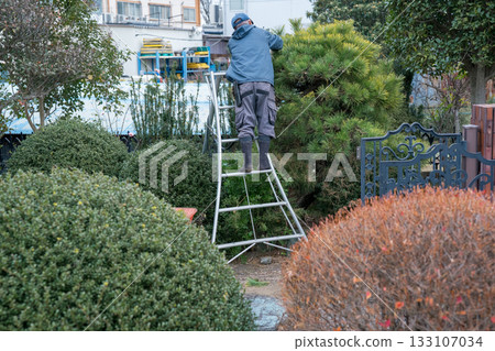pruning, gardener, landscaper 133107034