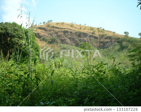 Tsito @ Ghana ☆mar_lapin Tsito @ Ghana ☆mar_lapin 133107228