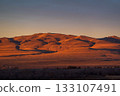 Golden Desert Dunes at Sunset Cast Warm Light Over Rolling Hills 133107491