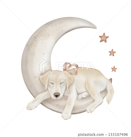 Composition with stars and character beige yellow puppy dog isolated on background. Hand drawn illustration sketch Labrador sleeping on a moon and a red bow around his neck. Composition with stars and character beige yellow puppy dog isolated on background. Hand drawn illustration sketch Labrador sleeping on a moon and a red bow around his neck. 133107496