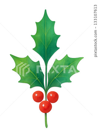 Illustration of holly and red berries - watercolor leaf material that can be used for Christmas decorations Illustration of holly and red berries - watercolor leaf material that can be used for Christmas decorations 133107613