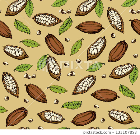Cocoa Fruits. Vector drawing 133107858