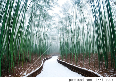 A beautiful path through a bamboo forest covered in white snow A beautiful path through a bamboo forest covered in white snow 133107903