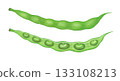 Illustration of green beans 133108213