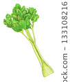 Celery illustration 133108216