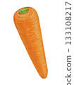 Carrots illustration 133108217