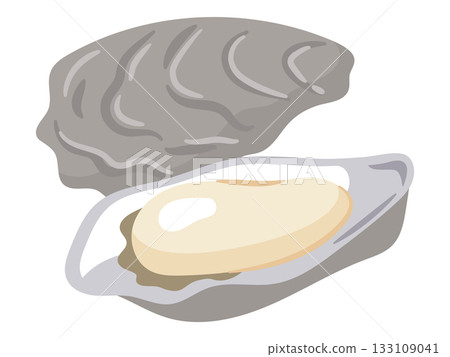 Simple vector illustration of fresh oysters. Luxury seafood material. 133109041