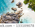 Anse Cocos - one of the most beautiful beach of Seychelles. La Digue Island, Seychelles 133109078