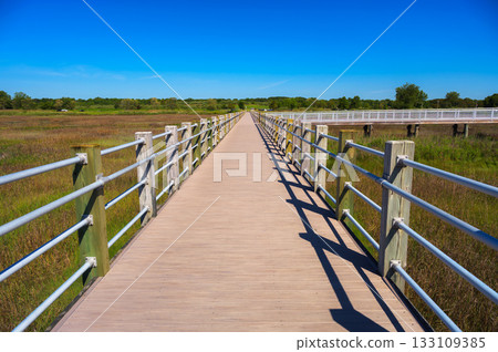 Boardwalk Through Marsh at Silver Sands State Park, Connecticut 133109385