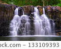 Rochester Falls Cascading Over Basalt Columns in Mauritius 133109393