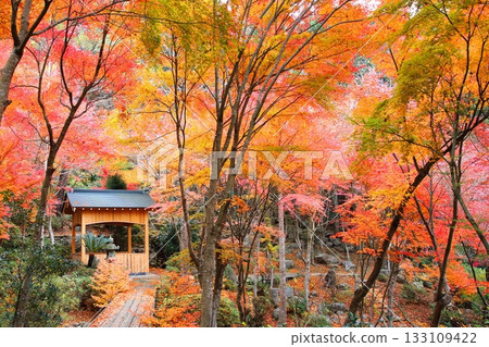 Autumn in the countryside 133109422