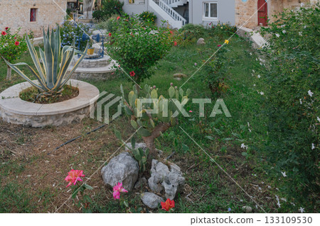 Cozy traditional courtyard of a mediterranean house with stone and greenery Cozy traditional courtyard of a mediterranean house with stone and greenery 133109530