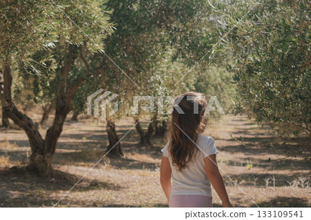 Little girl walking through a sunny mediterranean olive grove in the countryside 133109541
