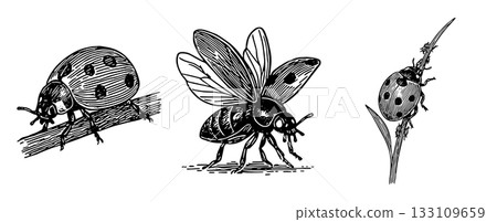 瓢蟲迷你筆插畫套裝 133109659