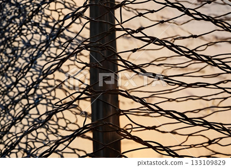 Intricate, twisted wire fence silhouette against a pale sky. AI Generated 133109829
