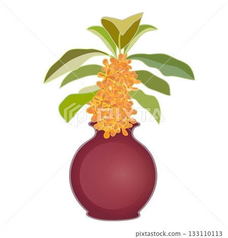 Illustration of a single osmanthus flower vase Illustration of a single osmanthus flower vase 133110113