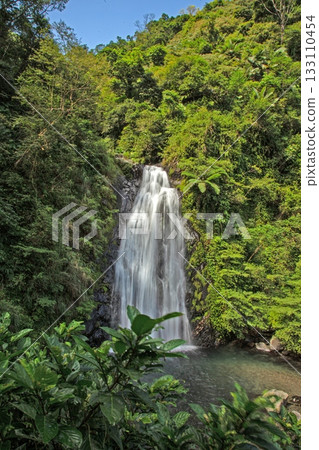 Waterfall in lush subtropical forest in Taiwan 133110454