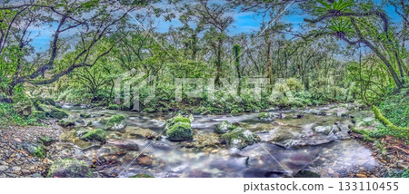 Panoramic rainforest river in Taiwan with mossy rocks 133110455