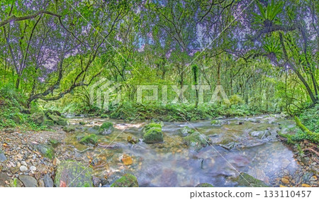 Panoramic rainforest river in Taiwan with mossy rocks Panoramic rainforest river in Taiwan with mossy rocks 133110457