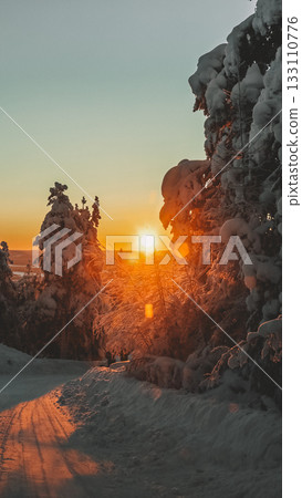 Winter sunset in snowy forest with warm golden light shining in Finland 133110776