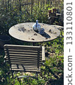 Rustic Garden Table with Teapot in Sunlight 133110801