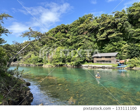 Beautiful fresh greenery on Sado Island 133111100
