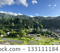 Rice field scenery surrounded by fresh greenery 133111184