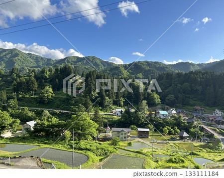 稻田景色，周圍環繞著翠綠的植物 133111184