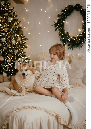 Child Smiling with Corgi at Festive Christmas Setting Child Smiling with Corgi at Festive Christmas Setting 133111436