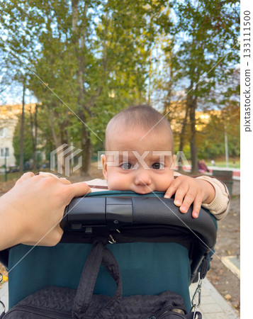 Baby Chewing Stroller Handle in Park Baby Chewing Stroller Handle in Park 133111500