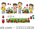 Strawberry picking 133111816