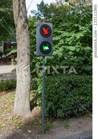 Pedestrian traffic light with red and green icons placed near trees and bushes. A mix of urban infrastructure and natural environment, showing safety elements in a park walkway. Pedestrian traffic light with red and green icons placed near trees and bushes. A mix of urban infrastructure and natural environment, showing safety elements in a park walkway. 133111860